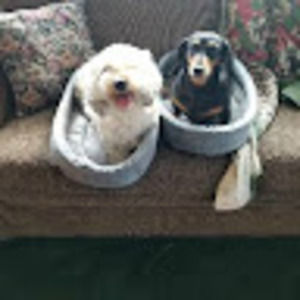 Meet your Posher, Jane